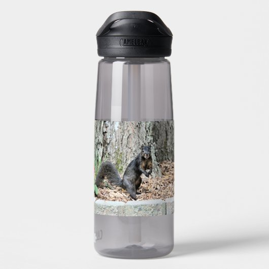リス ウォーターボトル (背面)