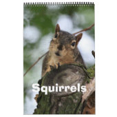 リス カレンダー (カバー)