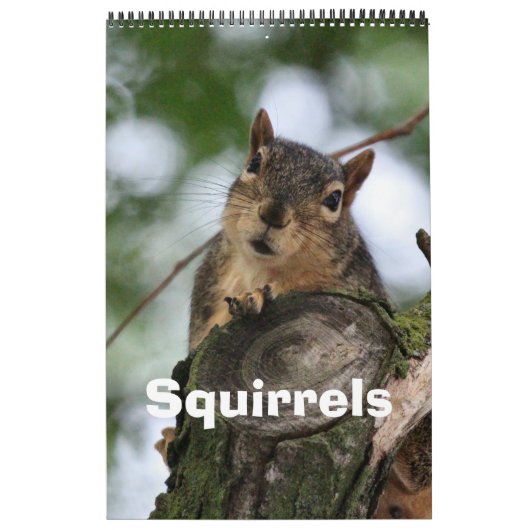 リス カレンダー (カバー)