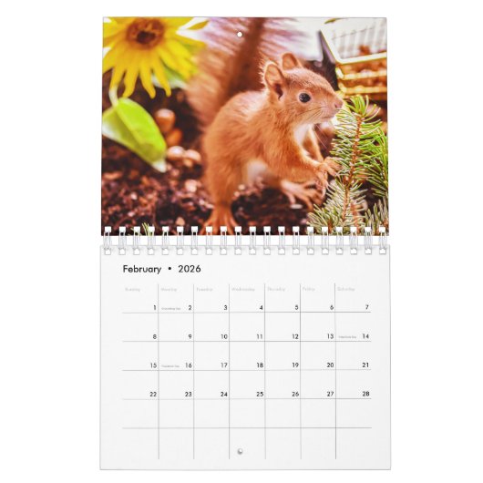 リス カレンダー (2月 2026)