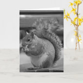 リス カード (黄色い花)