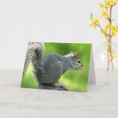 リス カード (黄色い花)