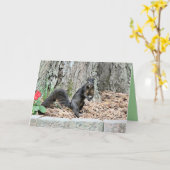 リス カード (黄色い花)