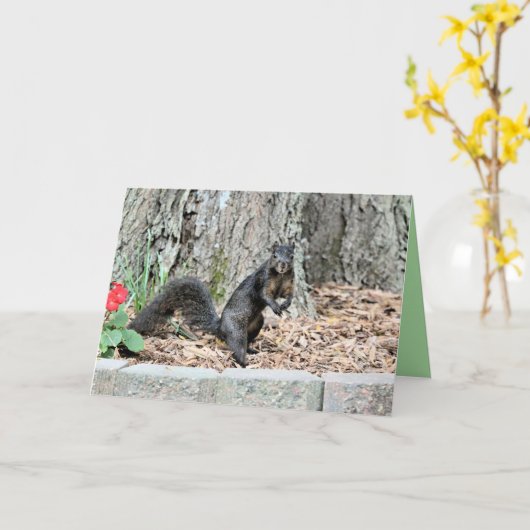 リス カード (黄色い花)