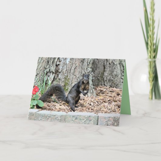 リス カード (正面)