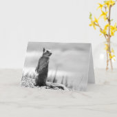 リス カード (黄色い花)