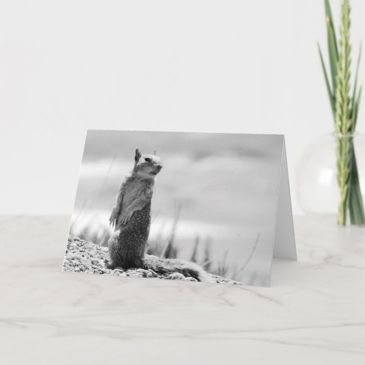 リス カード (正面)