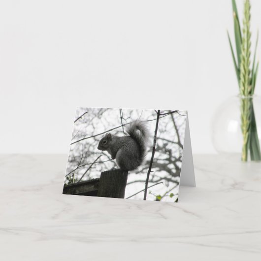 リス・カード カード (正面)