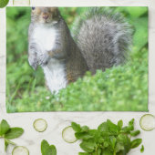 リス キッチンタオル (折り畳み)