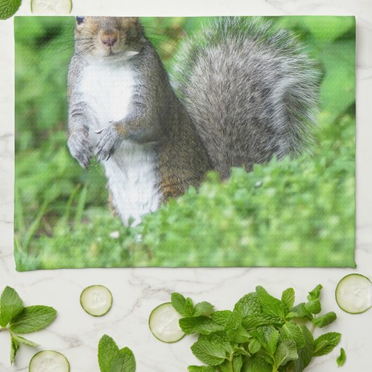 リス キッチンタオル (折り畳み)