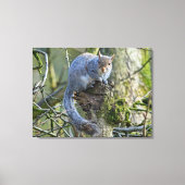 リス キャンバスプリント (正面)