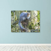 リス キャンバスプリント (インサイチュ (ウッドフロア))