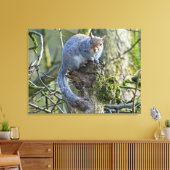 リス キャンバスプリント (インサイチュ (リビング))