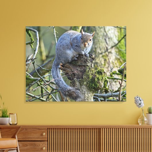 リス キャンバスプリント (インサイチュ (リビング))