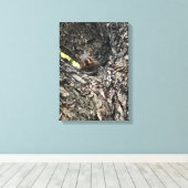 リス キャンバスプリント (インサイチュ (ウッドフロア))