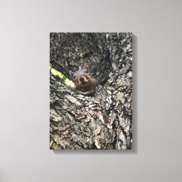 リス キャンバスプリント