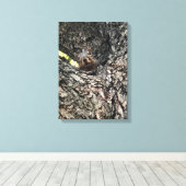 リス キャンバスプリント (インサイチュ (ウッドフロア))