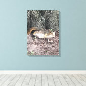 リス キャンバスプリント (インサイチュ (ウッドフロア))