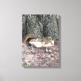 リス キャンバスプリント