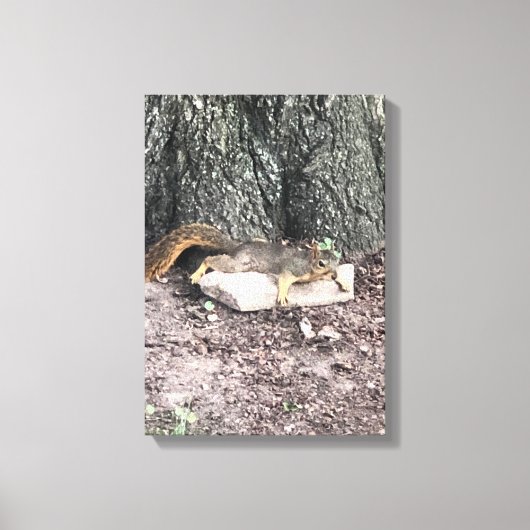 リス キャンバスプリント (正面)