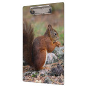 リス クリップボード (左)