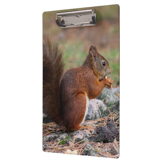 リス クリップボード (左)