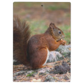 リス クリップボード (裏面)