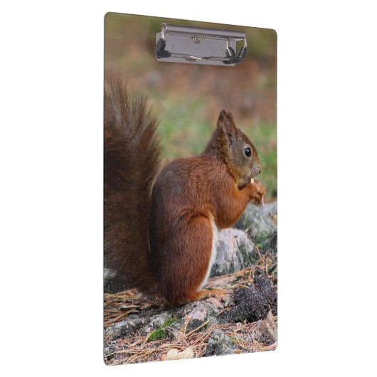 リス クリップボード (右)