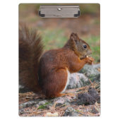 リス クリップボード (正面)