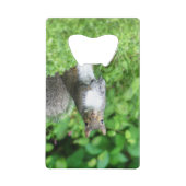 リス クレジットカード栓抜き (正面)