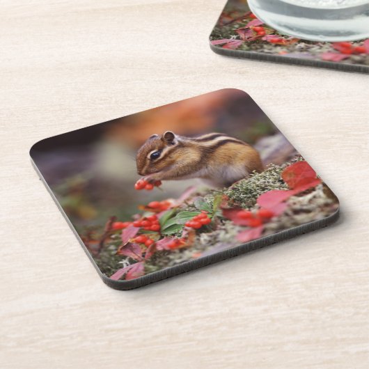 リス コースター (左側)