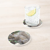 リス コースター (側面)