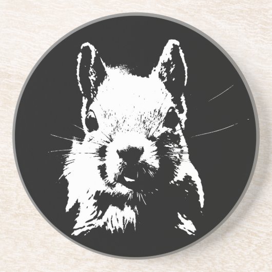 リス コースター (正面)