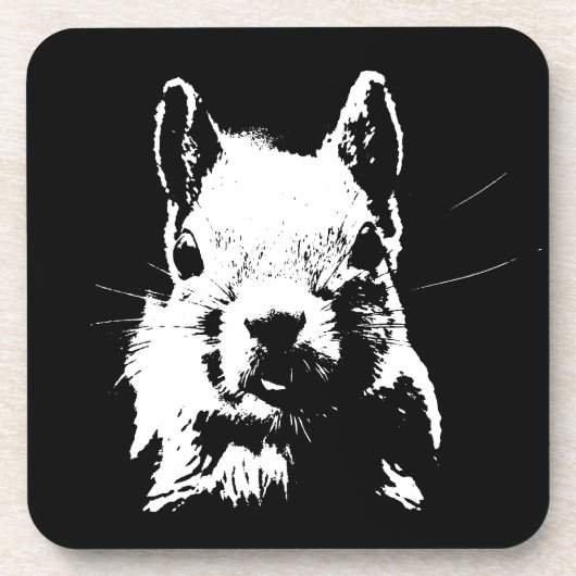 リス コースター (正面)