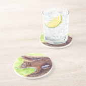 リス コースター (側面)