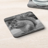 リス コースター (左側)