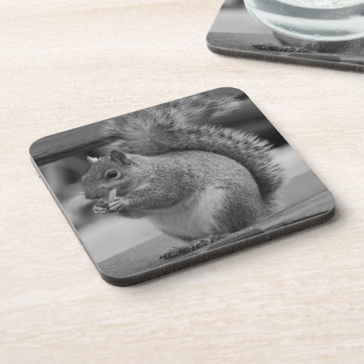 リス コースター (左側)