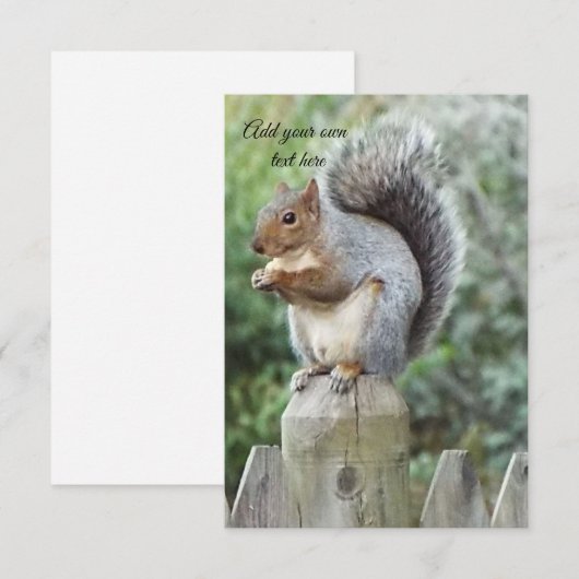 リス サンキューカード (正面/裏面)