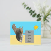 リス・サンシャイン葉書 ポストカード (スタンド正面)