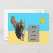 リス・サンシャイン葉書 ポストカード (正面/裏面)