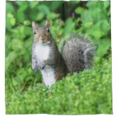 リス シャワーカーテン (正面)