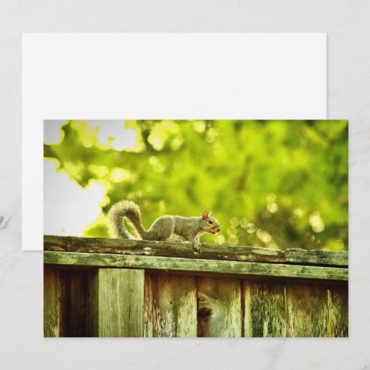 リス シーズンカード (正面/裏面)