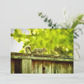 リス シーズンカード (スタンド正面)