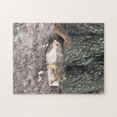 リス ジグソーパズル (横)