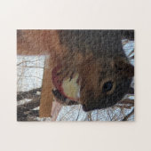 リス ジグソーパズル (横)