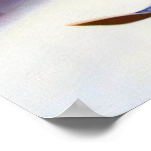 リス・スキー ポスター (角)