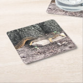 リス スクエアペーパーコースター (アングル)