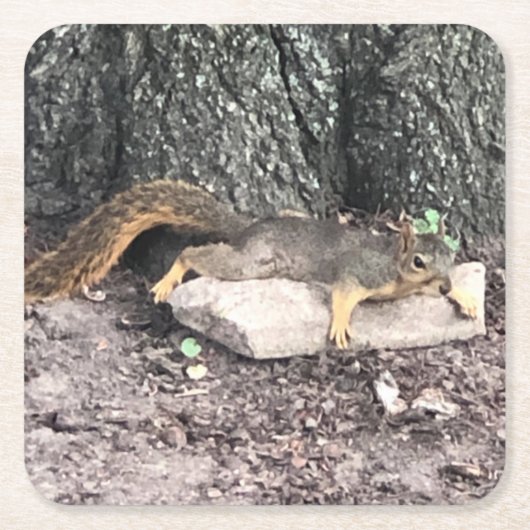 リス スクエアペーパーコースター (正面)