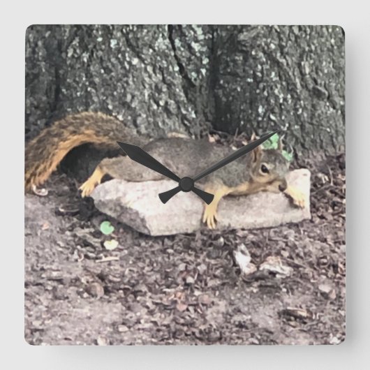 リス スクエア壁時計 (正面)