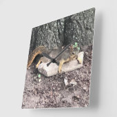 リス スクエア壁時計 (傾斜)